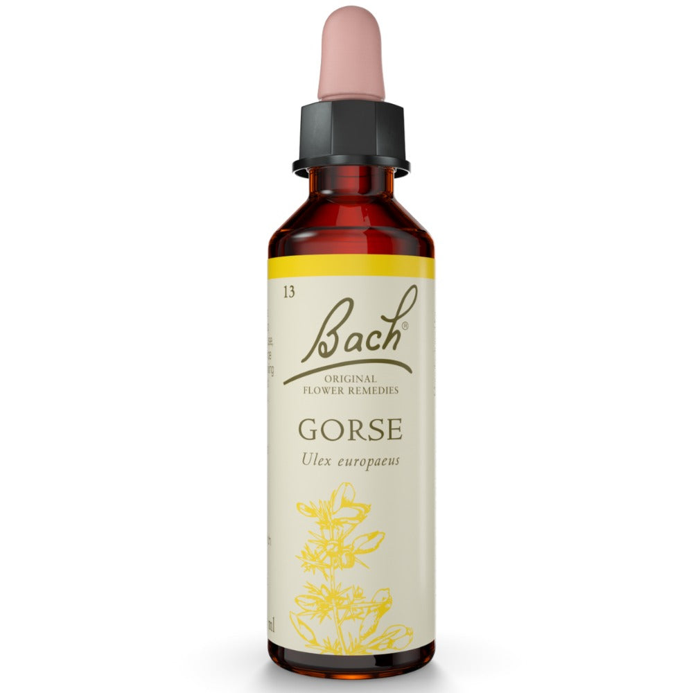 Gorse 20ml