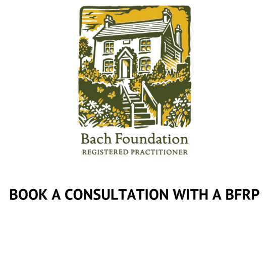Bach Flower Consultation