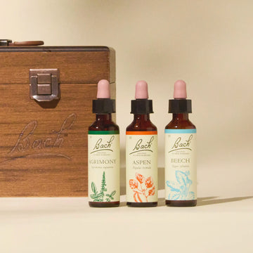 Bach Original Professional Wooden Box 20 ML