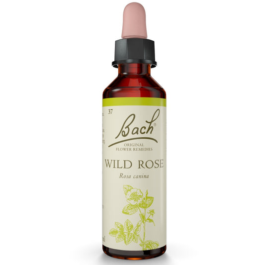 Wild Rose 20ml