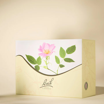 Bach Original Cardboard Set 20 ML