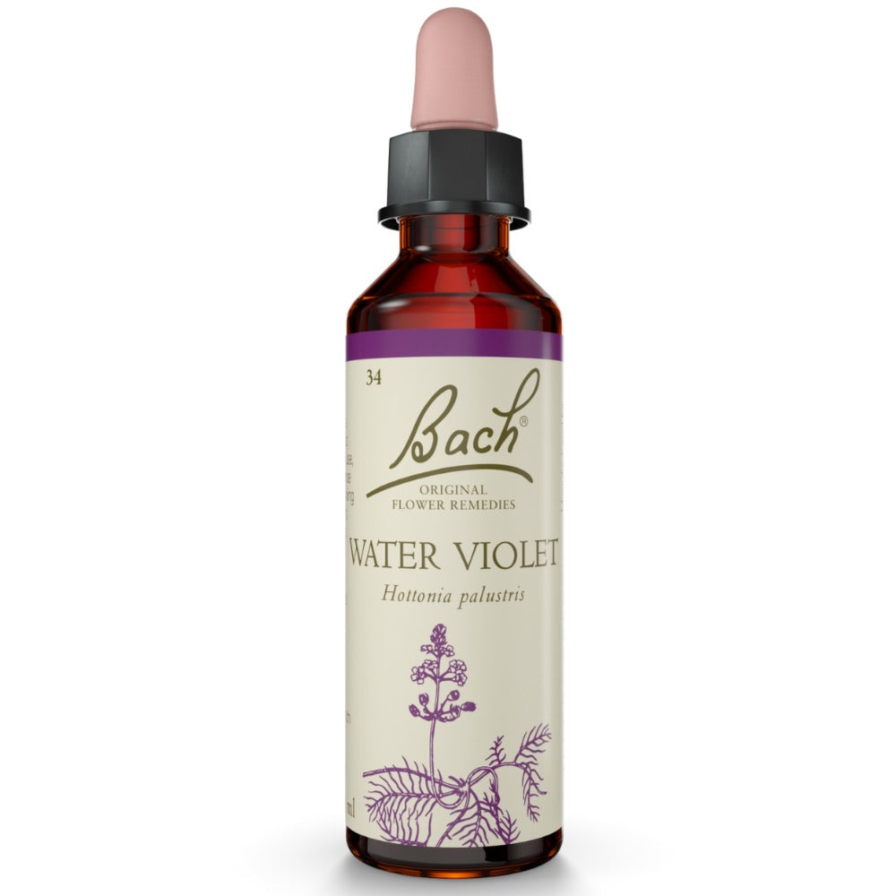 Water Violet 20ml