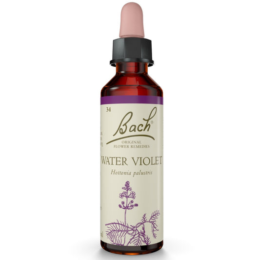 Water Violet 20ml
